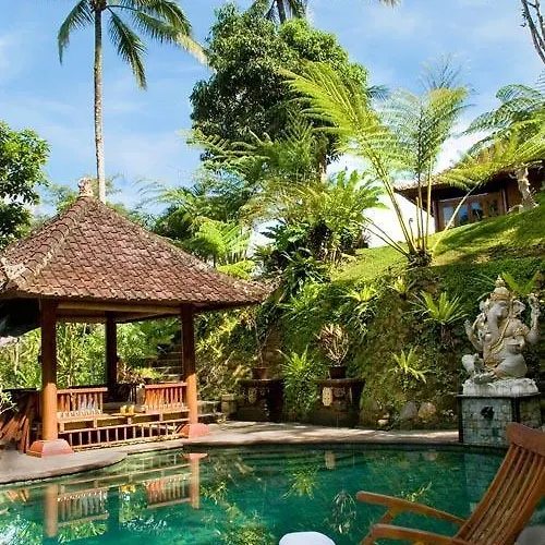 Sarna BALI