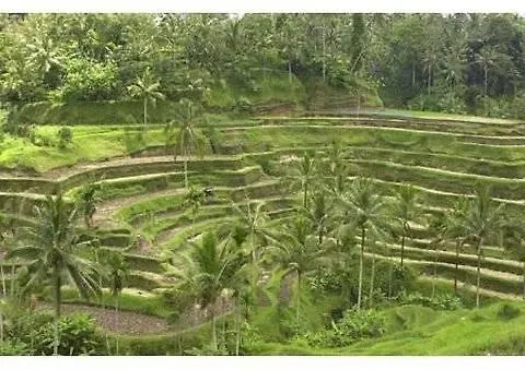 Sarna Gasthof BALI